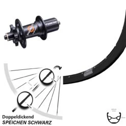 28-29 Zoll Hinterrad DT Swiss 350 SL QR 11-fach Ryde Rival 19