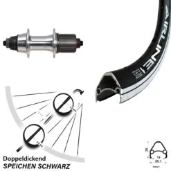 28 Zoll Hinterrad Novatec 7-fach F362 TSE Rodi Airline 1