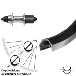 7-fach 28 Zoll Laufrad Ryde ZAC 2000 Mit Novatec F362 TSE Nabe