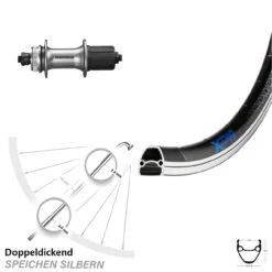 28 Zoll Felgenbrems-Hinterrad Shimano Alivio FH-M4050 Exal XP 19 Centerlock