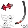Dt-swiss DT Swiss XR 391 Hinterrad 29 Zoll Mit KX-M Nabe Rot-eloxiert 11-fach Schnellspanner 6-loch