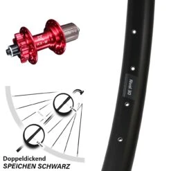 KX-M 6-loch Ryde Rival 30 Hinterrad 29 Zoll 11-fach