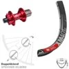 Dt-swiss Leichtes 29 Zoll Hinterrad DT Swiss XM 401 Mit Rot Eloxierter KX-M Nabe 12x142 Mm 11-fach