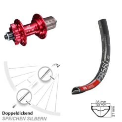 Dt-swiss KX-M Rot-eloxiert Schnellspanner 5x135 Mm 11-fach DT Swiss FR 560 Hinterrad 26 Zoll