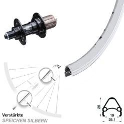 Silbernes 28 Zoll Hinteres Rad Verstärkt Rodi Airline1 Mit KX-T Nabe 135 Mm
