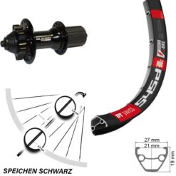 Dt-swiss Hinterrad 29 Zoll DT Swiss Mit XLC Evo 6-Loch Nabe Schwarz